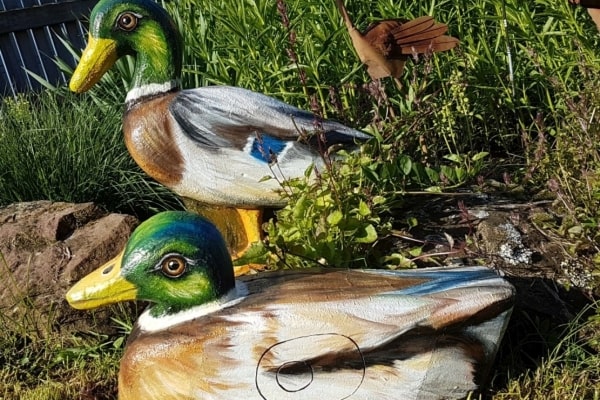 Enten