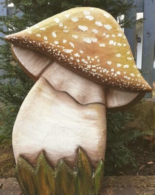 Knollenblätterpilz