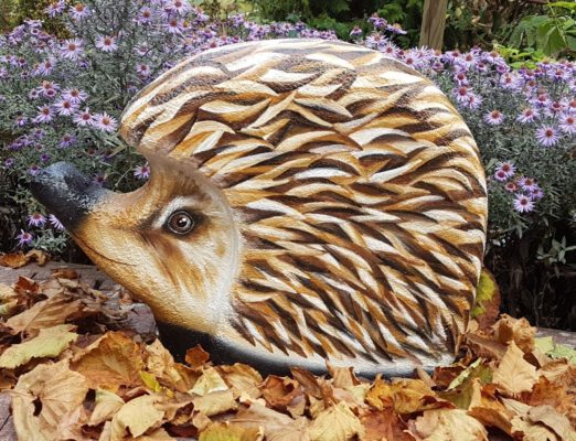 Igel